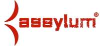 Assylum