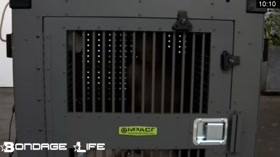 Cage Porn – Lifestyle