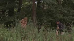 Extreme Brutal Bdsm – in the woods part 2