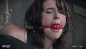 Hardtied – Sosha Belle in Hardtied