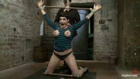 Hogtied – Annika Returns to HogTied