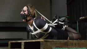 Hogtied – Enjoy The Ropes Cunt