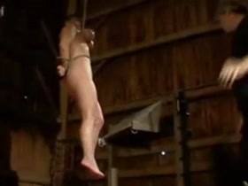 Insex – Horse
