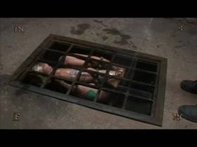 INSEX – Sarah Jane – Insex 1
