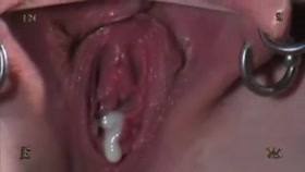 INSEX – The Proposal – Insex