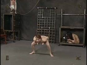 73s Live Feed – Insex