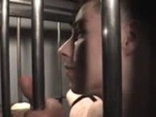 Caged gay slaves
