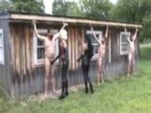 CBT – CBT Farm