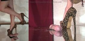 CBT – Don’t purr