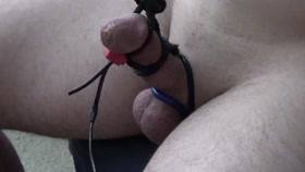 CBT Sounding – Gay
