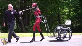 House of Gord – Houseofgord – Pony girl gets trained