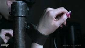 INFERNAL RESTRAINTS – Cora Moth – Flex