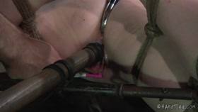 hardtied ﻿﻿﻿﻿Phoenix Rose The Sweetest Kiss part two