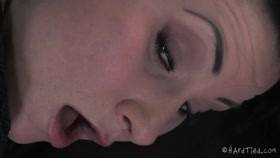 hardtied ﻿﻿﻿﻿﻿﻿Veruca James Pussy Whipped