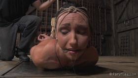 hardtied ﻿﻿﻿Wenona Barn Exercises