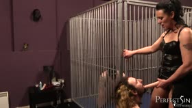 Bisex and Pegging