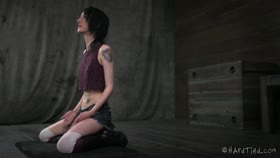 hardtied ﻿Cadence Cross Beat the Bunny