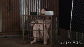 Sammi – Into The Attic