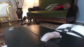 Trampling on a Slave’s Cock